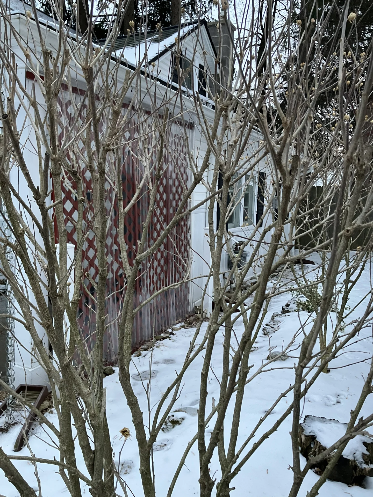 207 Coolidge Rd, photo 5