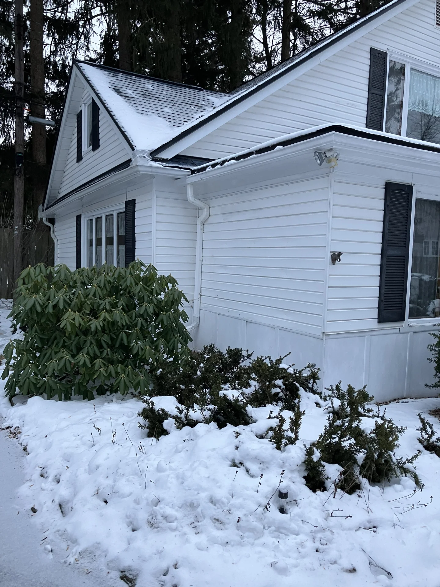 207 Coolidge Road photo 2
