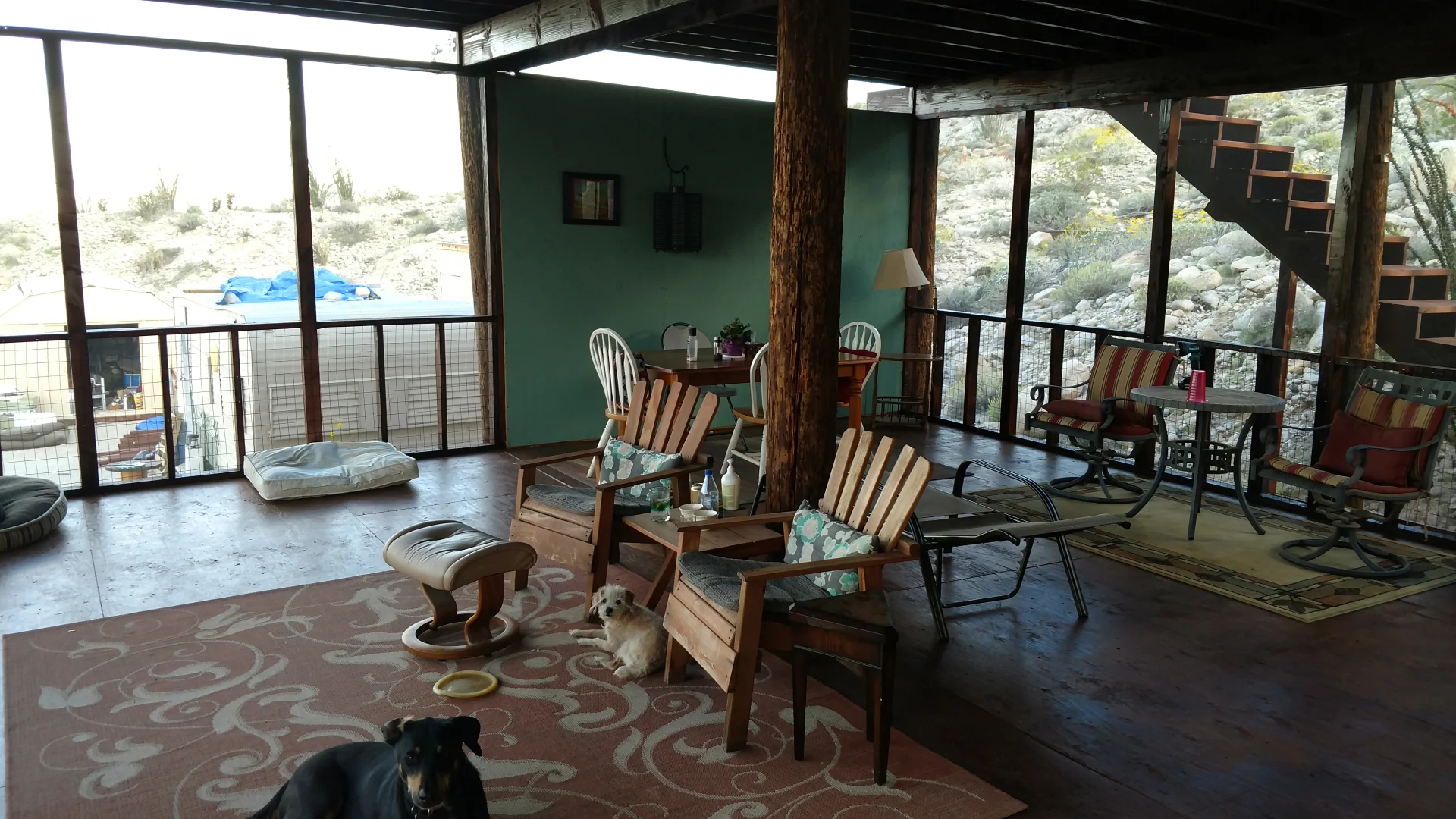 245 Creosote Way photo 5